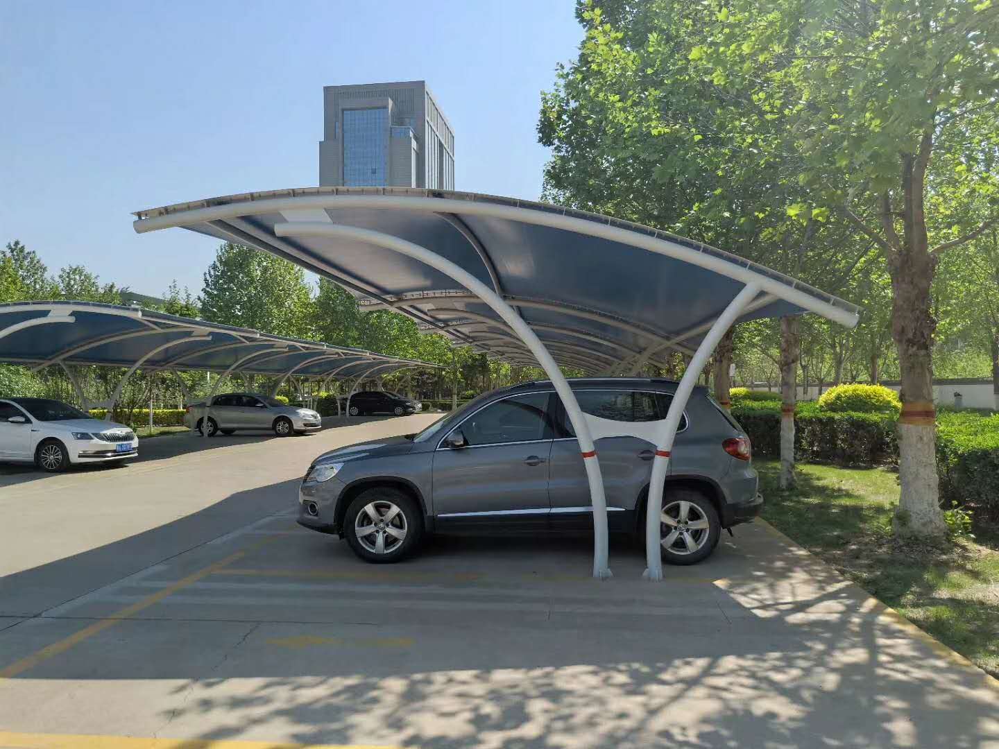 鋼結構車棚（雙向懸拉型）